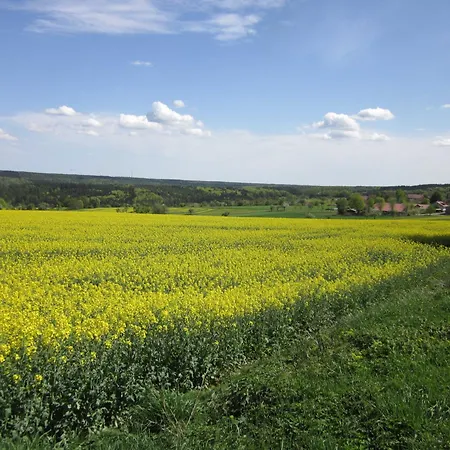 Blumenschein Daire
