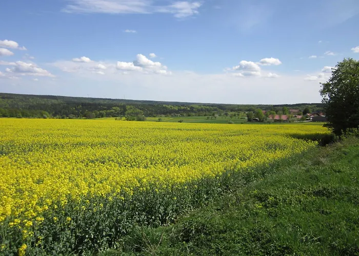 Blumenschein Daire